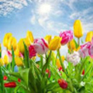 Meet your Posher, Jennie